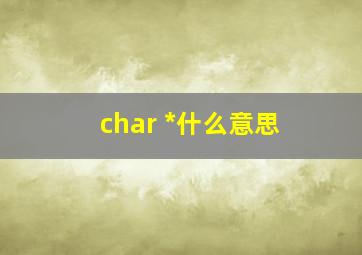 char *什么意思